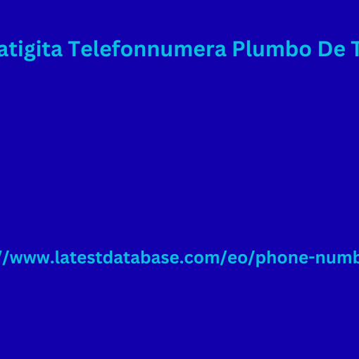 2024 Ĝisdatigita Telefonnumera Plumbo De Tutmonde