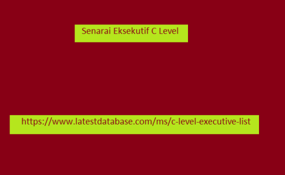 Senarai Eksekutif C Level