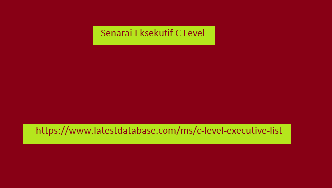  Senarai Eksekutif C Level
