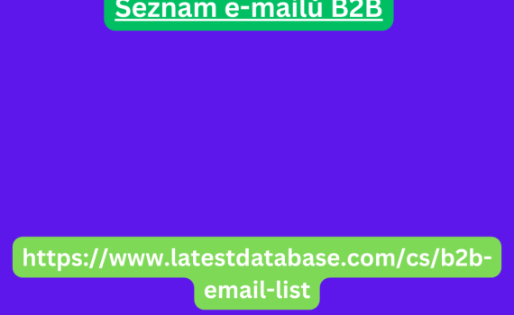 Seznam e-mailů B2B